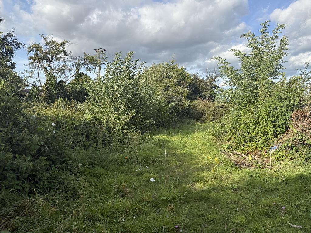 Lot: 129 - HOUSE IN NEED OF IMPROVEMENT - Rear Garden in House in Need of Improvement